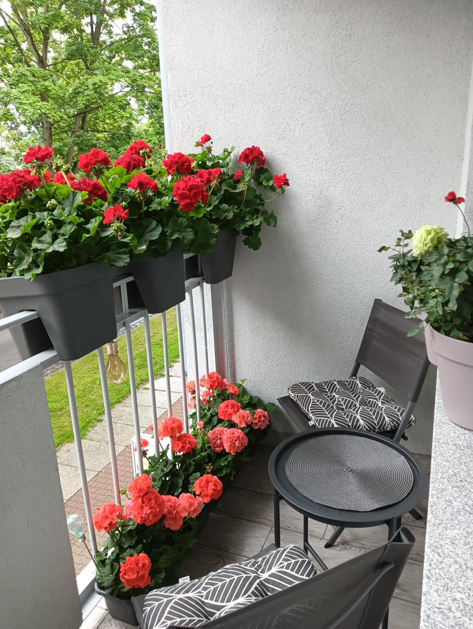 Apartament Ale Laba Kolberg Exterior foto