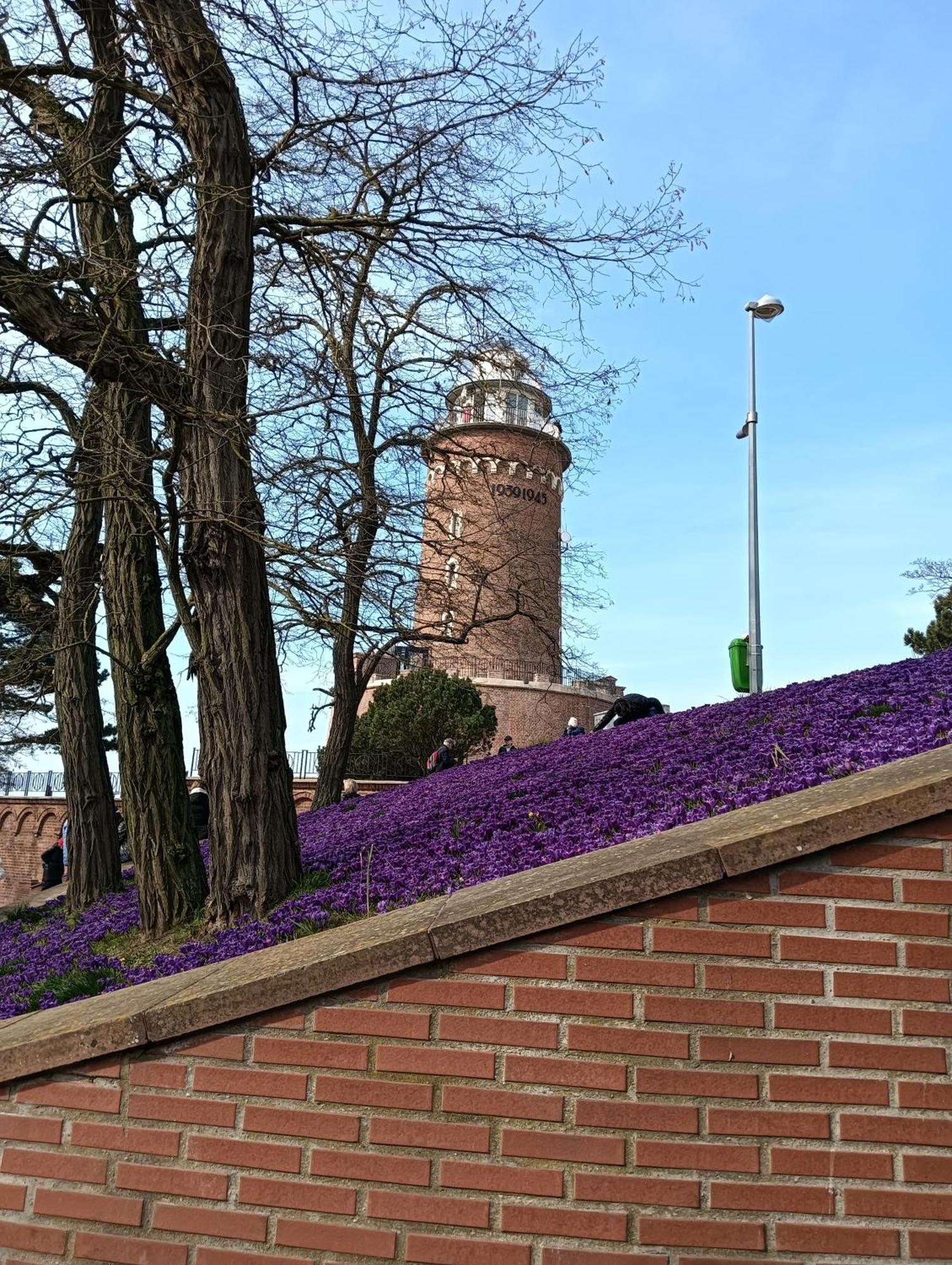 Apartament Ale Laba Kolberg Exterior foto